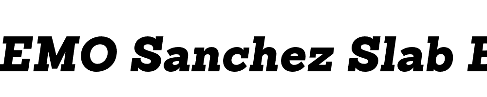  DEMO Sanchez Slab Black Black Italic