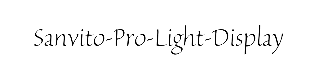 Sanvito-Pro-Light-Display