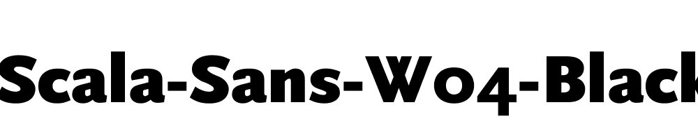 Scala-Sans-W04-Black