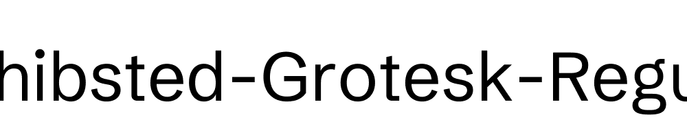 Schibsted-Grotesk-Regular