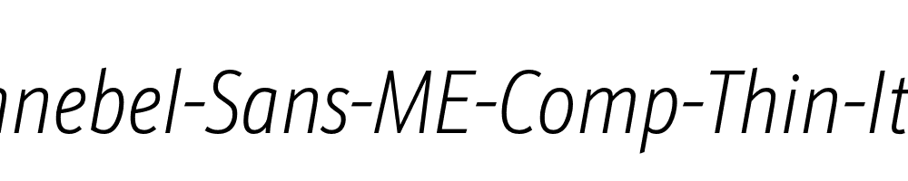 Schnebel-Sans-ME-Comp-Thin-Italic