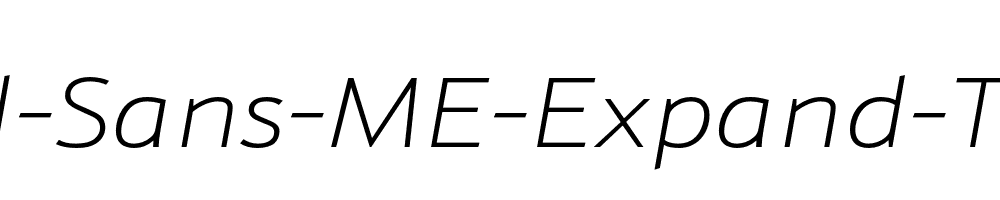 Schnebel-Sans-ME-Expand-Thin-Italic