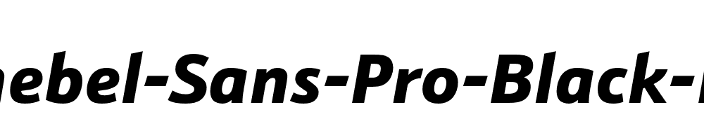 Schnebel-Sans-Pro-Black-Italic