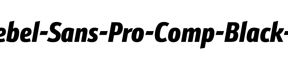 Schnebel-Sans-Pro-Comp-Black-Italic