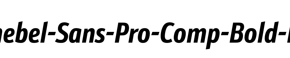 Schnebel-Sans-Pro-Comp-Bold-Italic