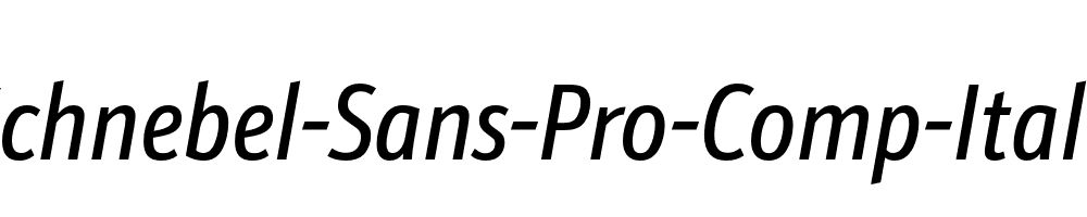 Schnebel-Sans-Pro-Comp-Italic