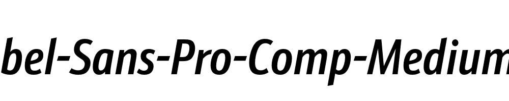 Schnebel-Sans-Pro-Comp-Medium-Italic