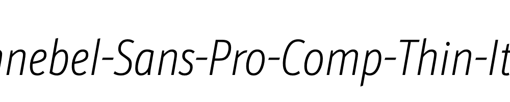 Schnebel-Sans-Pro-Comp-Thin-Italic