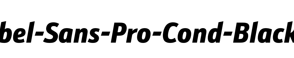 Schnebel-Sans-Pro-Cond-Black-Italic