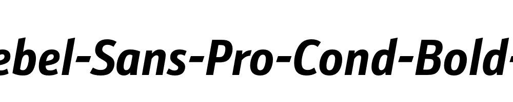 Schnebel-Sans-Pro-Cond-Bold-Italic