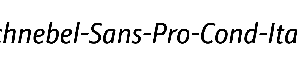 Schnebel-Sans-Pro-Cond-Italic