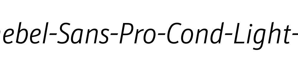 Schnebel-Sans-Pro-Cond-Light-Italic