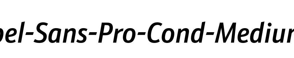 Schnebel-Sans-Pro-Cond-Medium-Italic