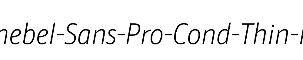 Schnebel-Sans-Pro-Cond-Thin-Italic