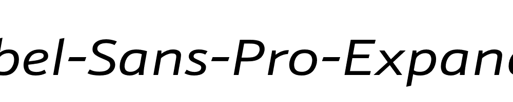 Schnebel-Sans-Pro-Expand-Italic