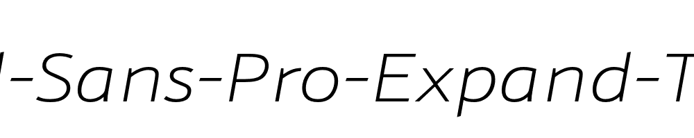 Schnebel-Sans-Pro-Expand-Thin-Italic