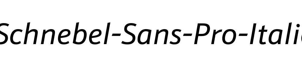 Schnebel-Sans-Pro-Italic