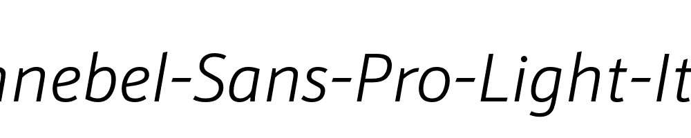 Schnebel-Sans-Pro-Light-Italic