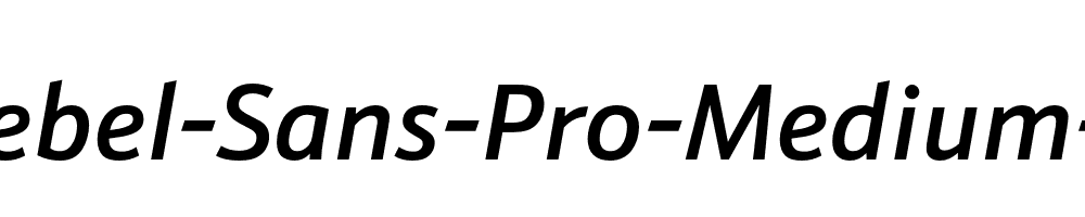 Schnebel-Sans-Pro-Medium-Italic