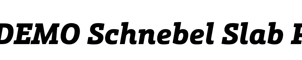  DEMO Schnebel Slab Pro Black Italic