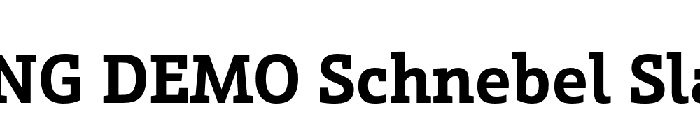  DEMO Schnebel Slab Pro Bold