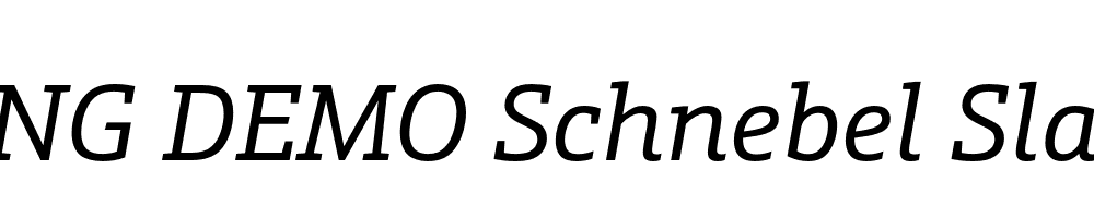  DEMO Schnebel Slab Pro Italic