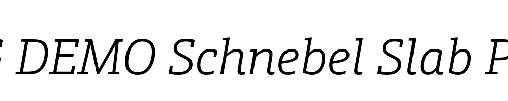  DEMO Schnebel Slab Pro Light Italic