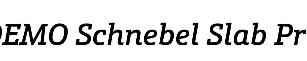  DEMO Schnebel Slab Pro Medium Italic