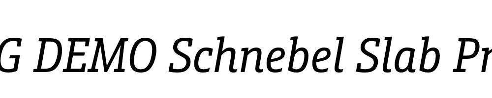  DEMO Schnebel Slab Pro Cond Italic