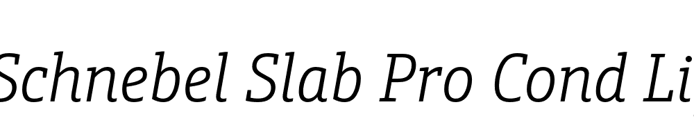  DEMO Schnebel Slab Pro Cond Light Italic