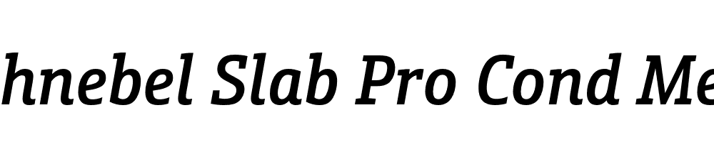  DEMO Schnebel Slab Pro Cond Medium Italic