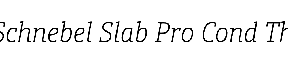  DEMO Schnebel Slab Pro Cond Thin Italic