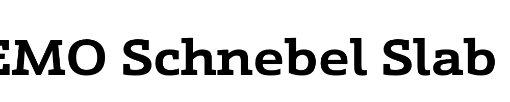  DEMO Schnebel Slab Pro Expand Bold