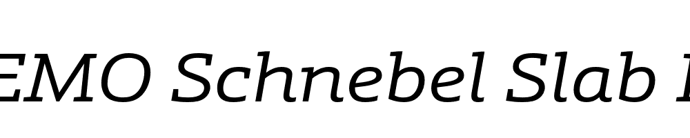  DEMO Schnebel Slab Pro Expand Italic