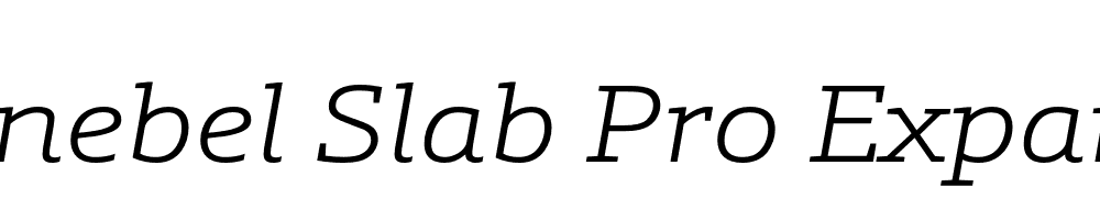  DEMO Schnebel Slab Pro Expand Light Italic