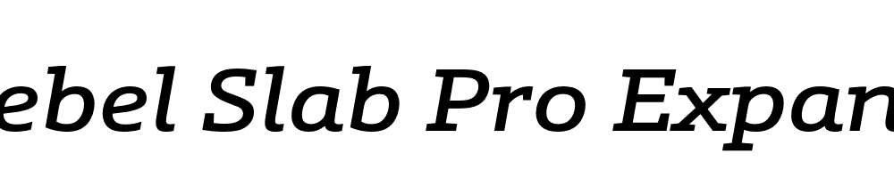  DEMO Schnebel Slab Pro Expand Medium Italic