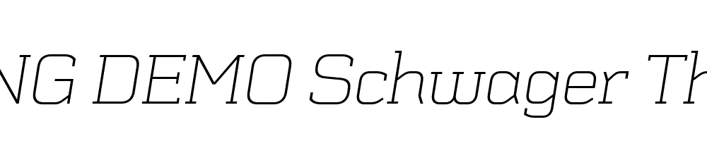  DEMO Schwager Thin Thin Italic