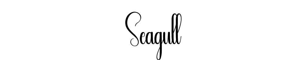 Seagull