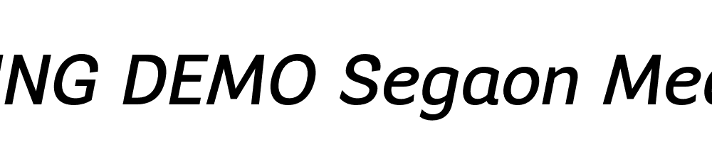  DEMO Segaon Medium Italic