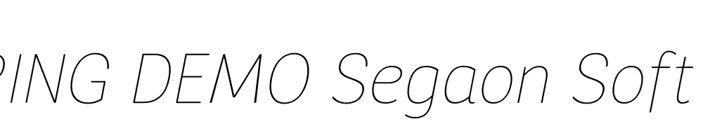  DEMO Segaon Soft Thin Italic