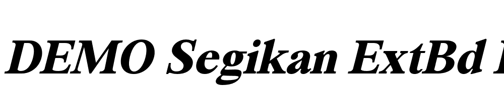 FSP DEMO Segikan ExtBd Italic