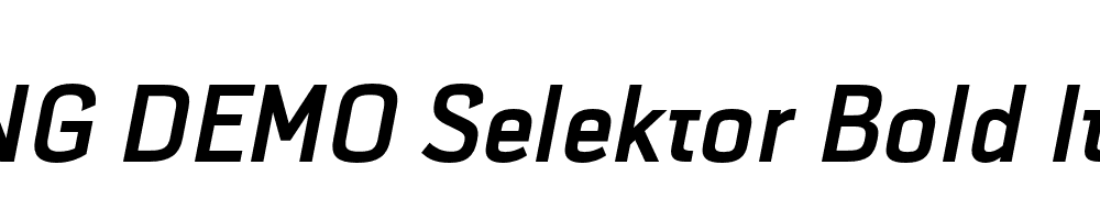  DEMO Selektor Bold Italic Regular