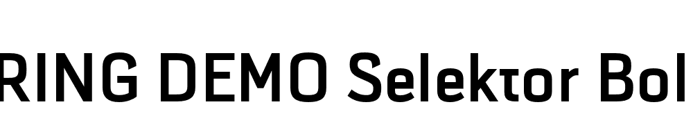  DEMO Selektor Bold Regular