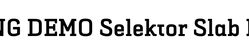  DEMO Selektor Slab Bold Regular