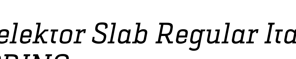  DEMO Selektor Slab Regular Italic Regular