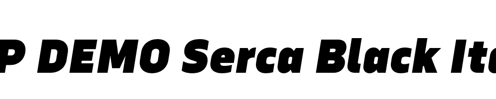 FSP DEMO Serca Black Italic