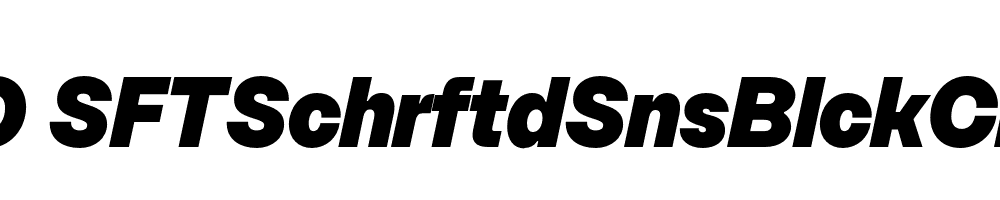 FSP DEMO SFTSchrftdSnsBlckCmpct Italic