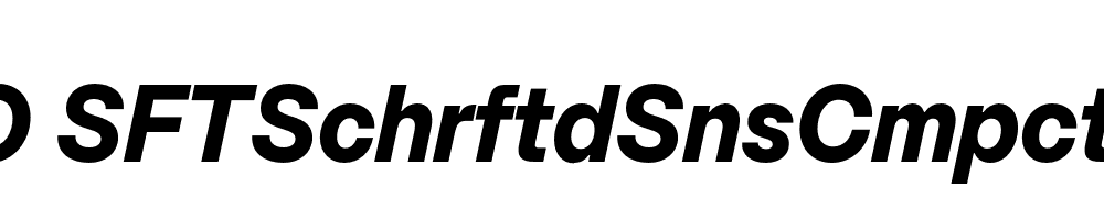 FSP DEMO SFTSchrftdSnsCmpct Bold Italic