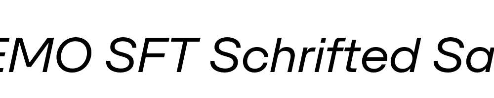 FSP DEMO SFT Schrifted Sans Italic