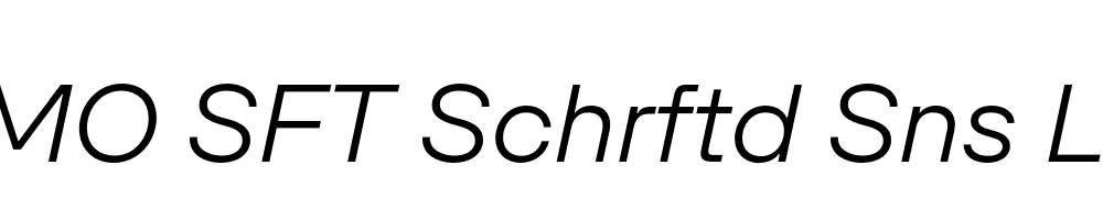 FSP DEMO SFT Schrftd Sns Lght Italic